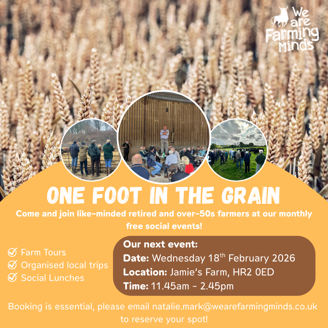 One Foot in the Grain