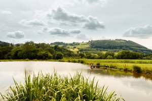 Women Within Farming Wild Swimming & Sauna