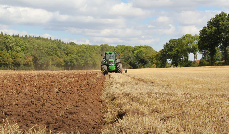 farming minds helps the farming community with mental health